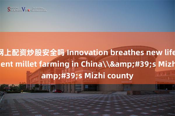 网上配资炒股安全吗 Innovation breathes new life into ancient millet farming in China\&#39;s Mizhi county