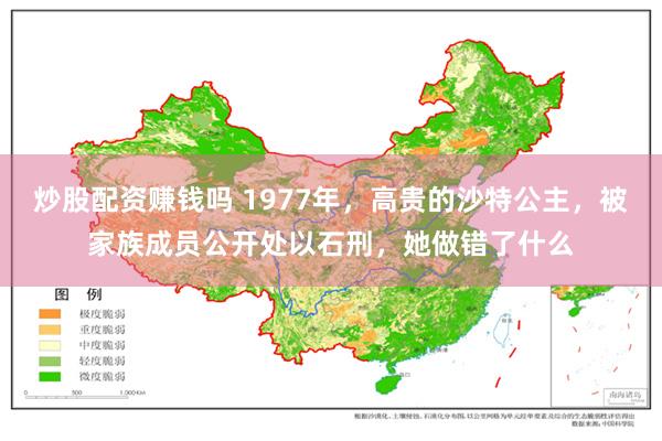 炒股配资赚钱吗 1977年，高贵的沙特公主，被家族成员公开处以石刑，她做错了什么