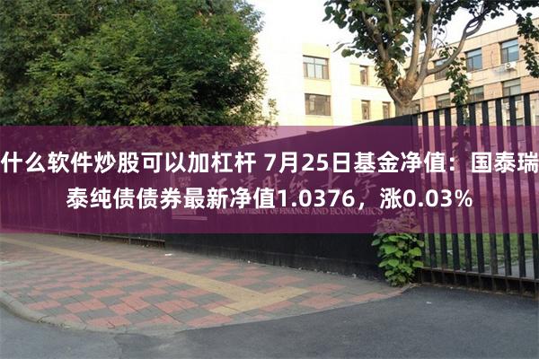 什么软件炒股可以加杠杆 7月25日基金净值：国泰瑞泰纯债债券最新净值1.0376，涨0.03%