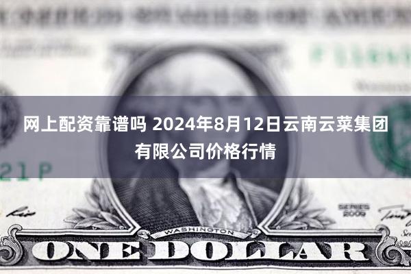 网上配资靠谱吗 2024年8月12日云南云菜集团有限公司价格行情