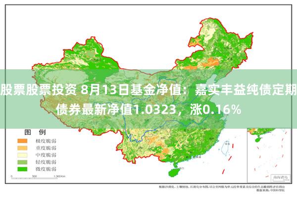 股票股票投资 8月13日基金净值：嘉实丰益纯债定期债券最新净值1.0323，涨0.16%