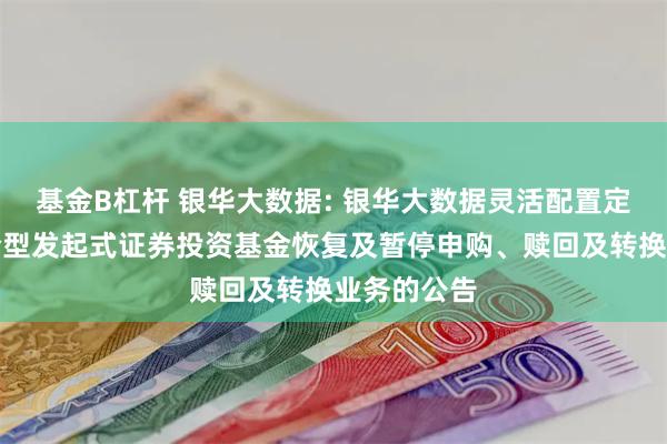 基金B杠杆 银华大数据: 银华大数据灵活配置定期开放混合型发起式证券投资基金恢复及暂停申购、赎回及转换业务的公告