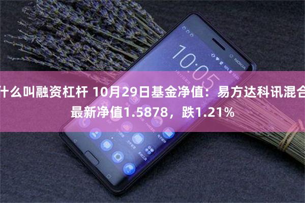 什么叫融资杠杆 10月29日基金净值：易方达科讯混合最新净值1.5878，跌1.21%