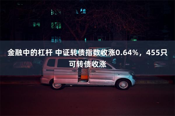 金融中的杠杆 中证转债指数收涨0.64%，455只可转债收涨