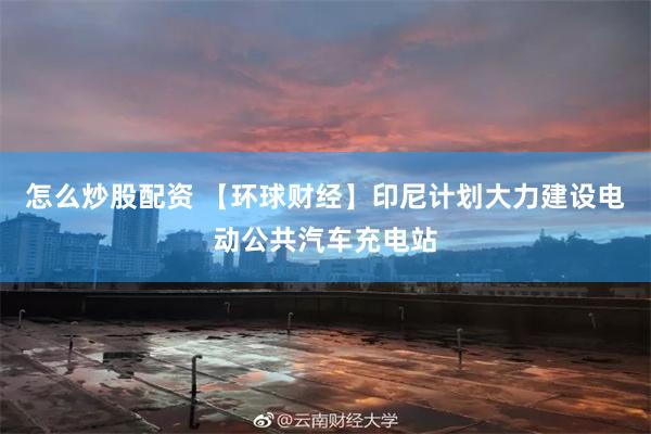 怎么炒股配资 【环球财经】印尼计划大力建设电动公共汽车充电站